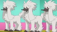 Furfrou as it appears in the anime (Image via The Pokemon Company)